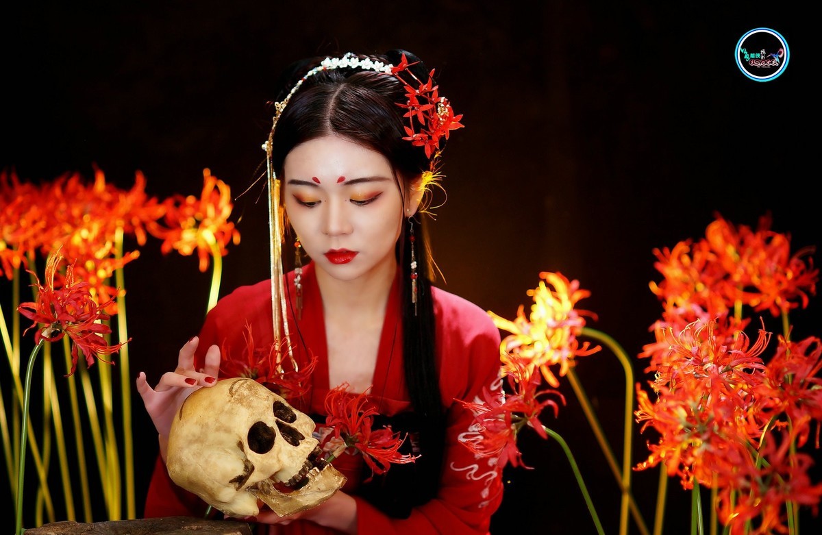 彼岸花孟婆心乐