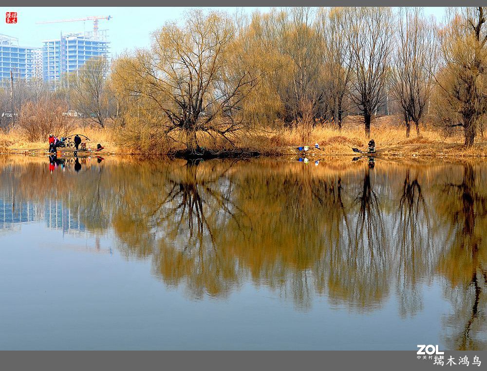 【手机随拍】通往未来科学城的大桥