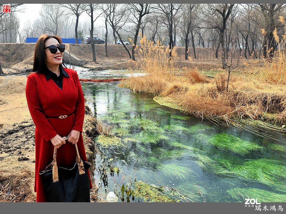 【手机随拍】通往未来科学城的大桥