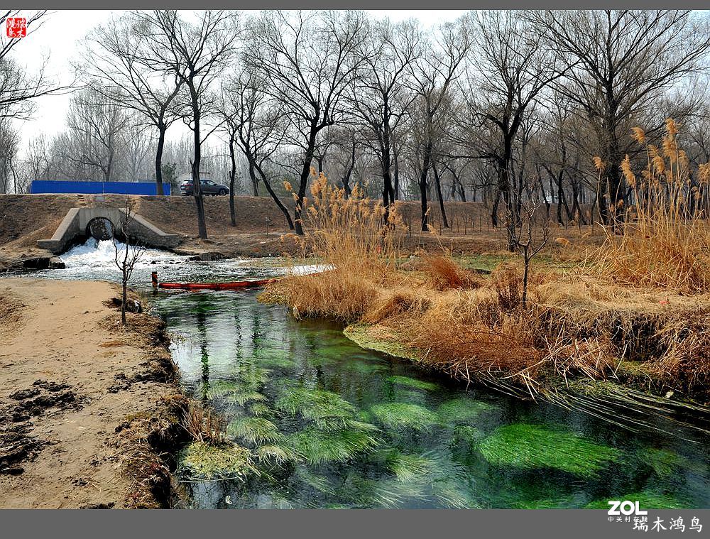 【手机随拍】通往未来科学城的大桥