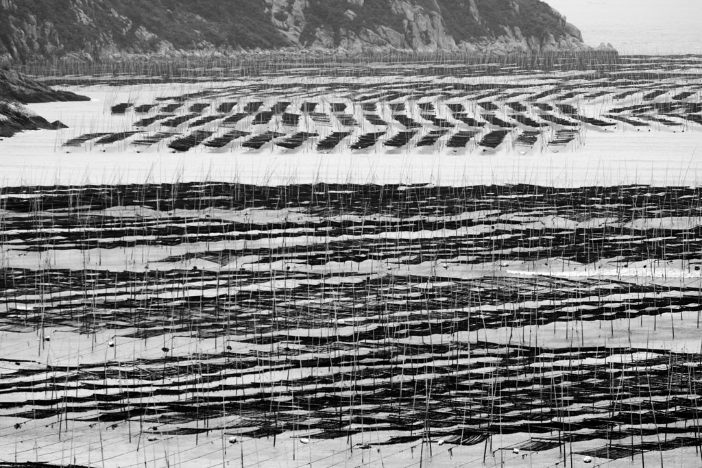 祝福祖国明天会更好