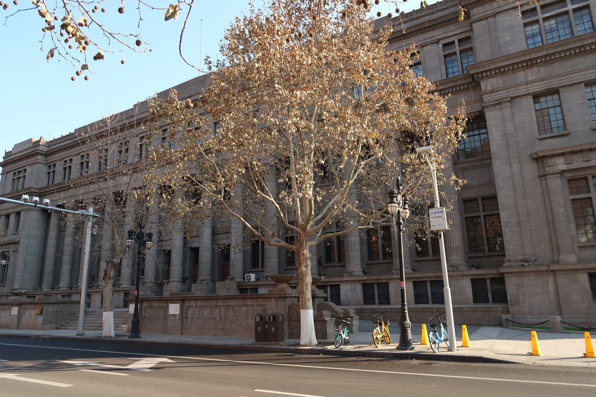 2021年新的G7mark2