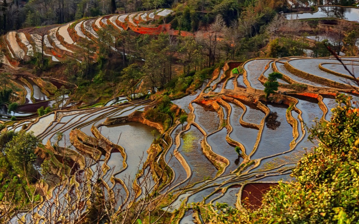 云南红河落日下的元阳坝达梯田