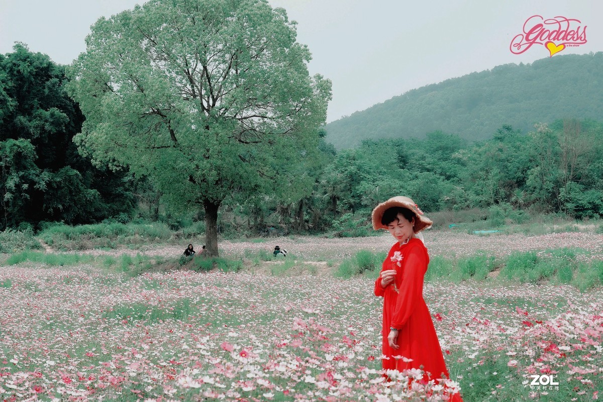 一组花海人像∶被风吹过的初夏。