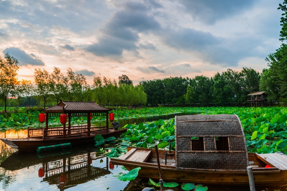 柳壕湿地公园之十三荷塘晨曲二