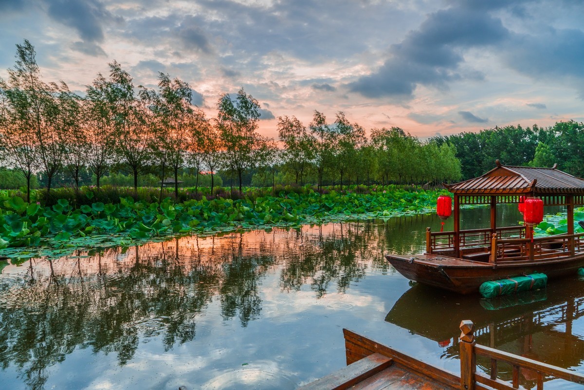 柳壕湿地公园之十三荷塘晨曲二