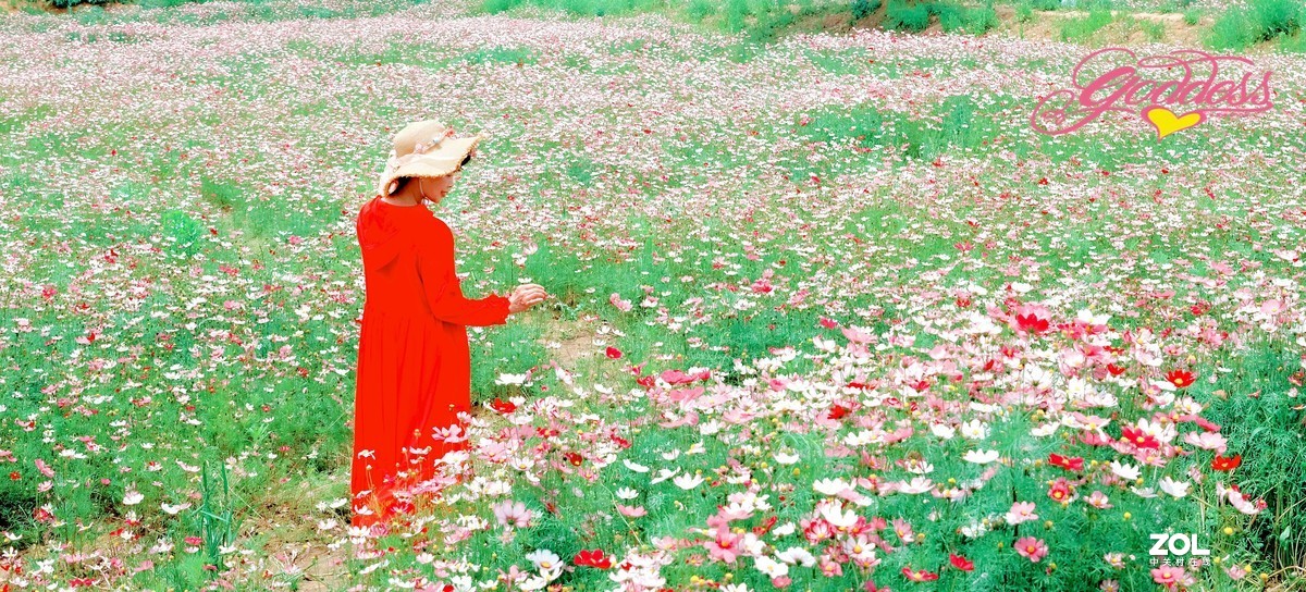 一组花海人像∶被风吹过的初夏。