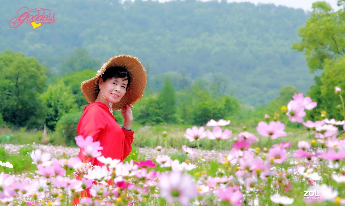 一组花海人像∶被风吹过的初夏。