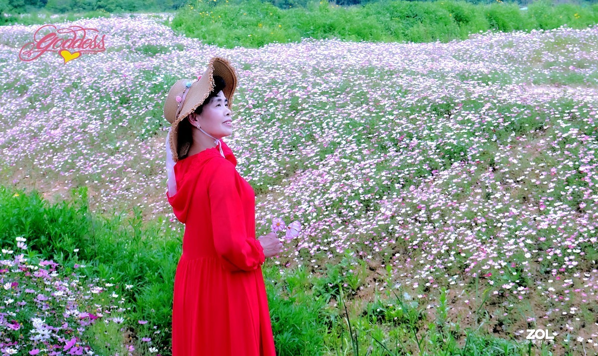 一组花海人像∶被风吹过的初夏。