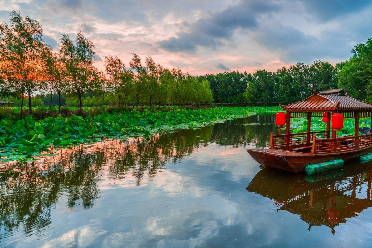 柳壕湿地公园之十三荷塘晨曲二