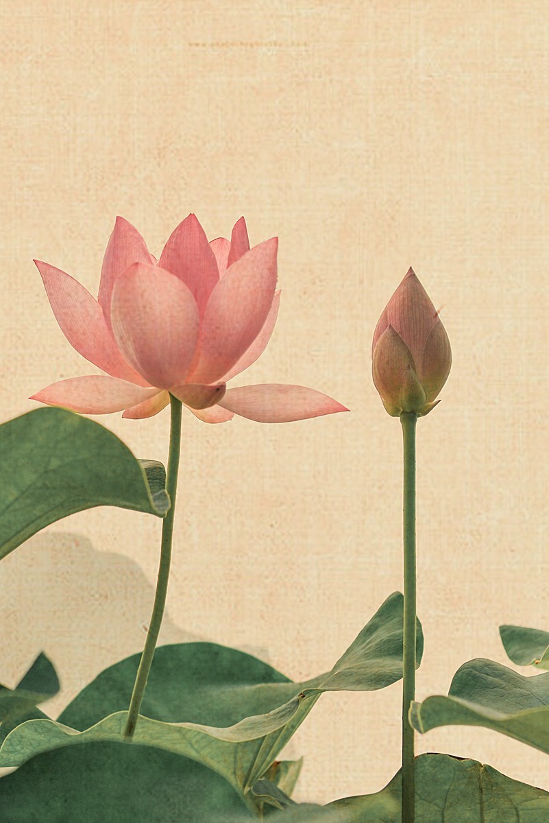 老片新做（请假帖）