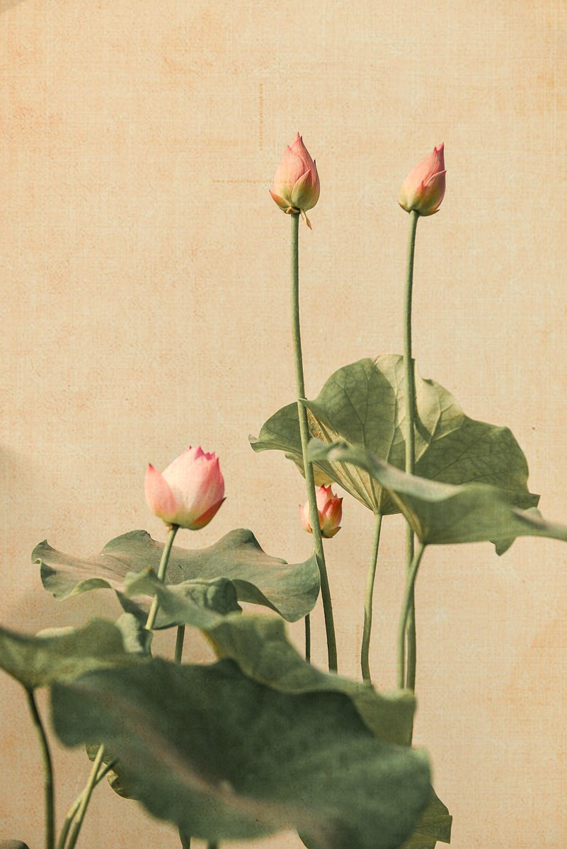 老片新做（请假帖）