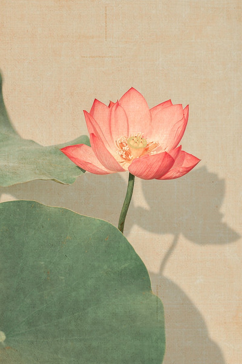 老片新做（请假帖）