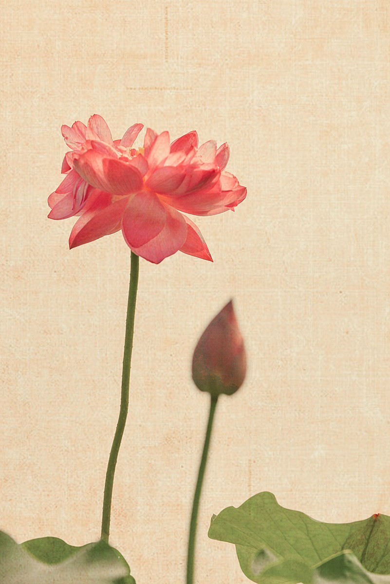 老片新做（请假帖）