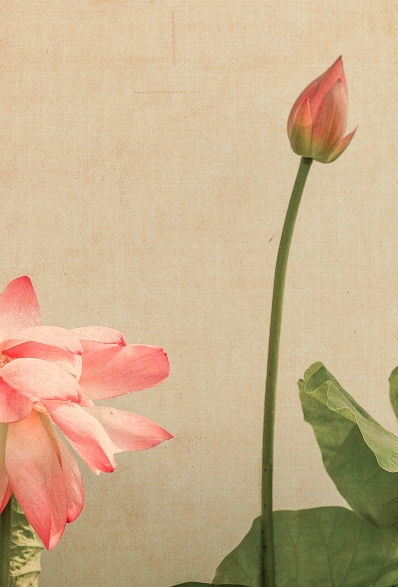 老片新做（请假帖）