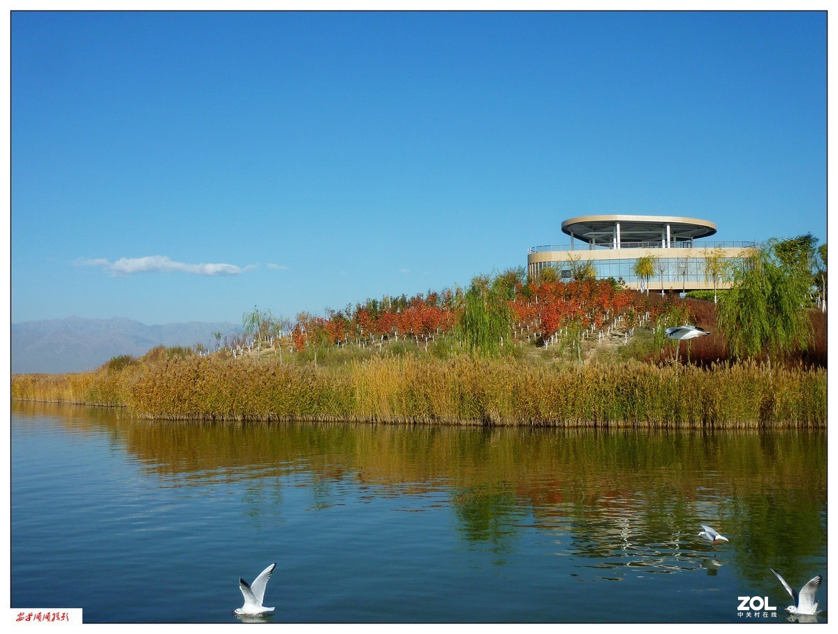 旅游随拍-----西北之旅*宁夏银川沙湖风景(上)