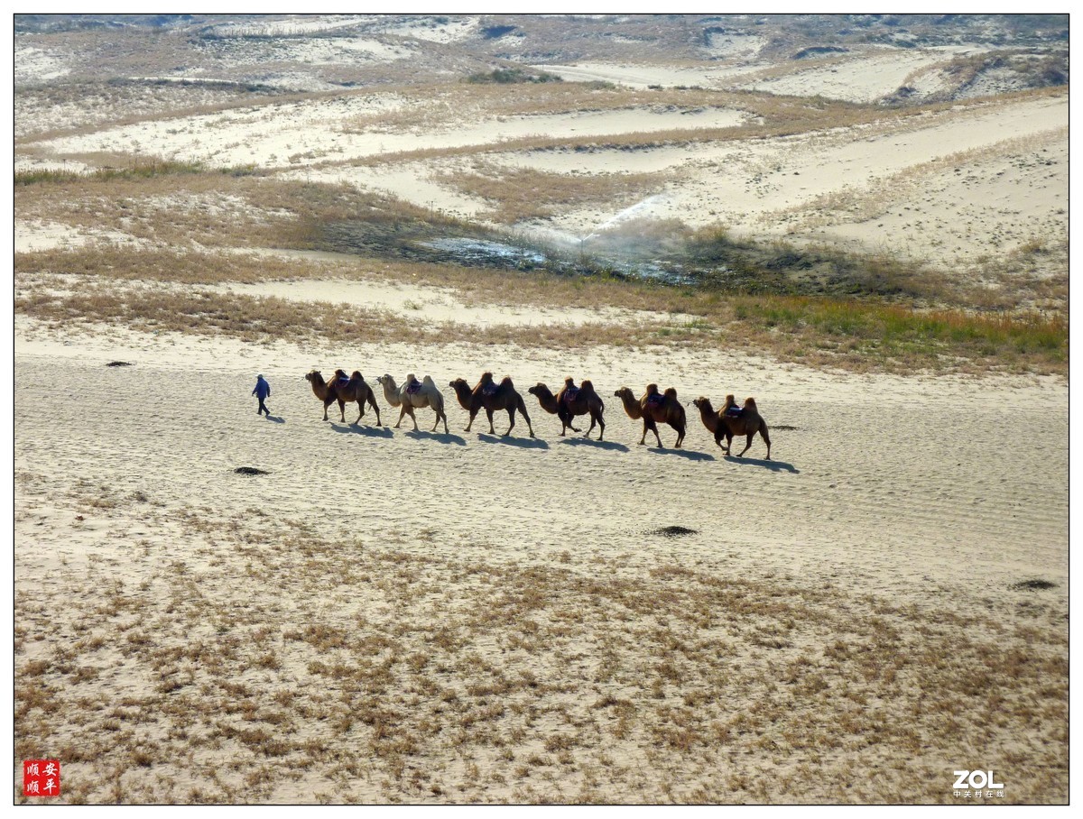 旅游随拍-----西北之旅*宁夏银川沙湖风景(上)