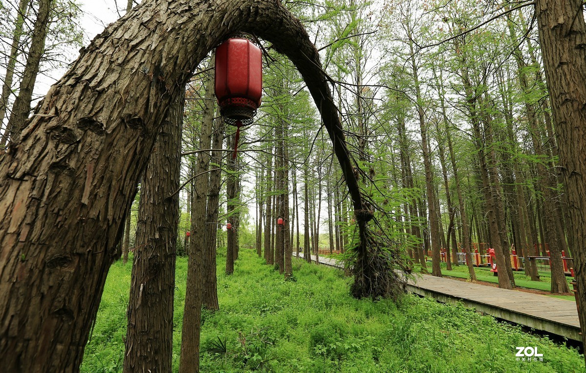 高邮清水潭度假村图片