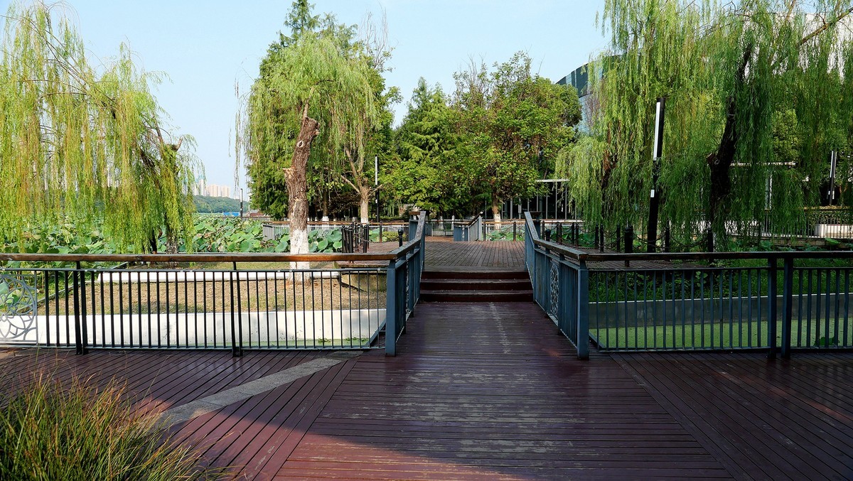 试机（小卡片机DC-LX100M2）武汉印象---琴台剧院和五环大道街景随拍！