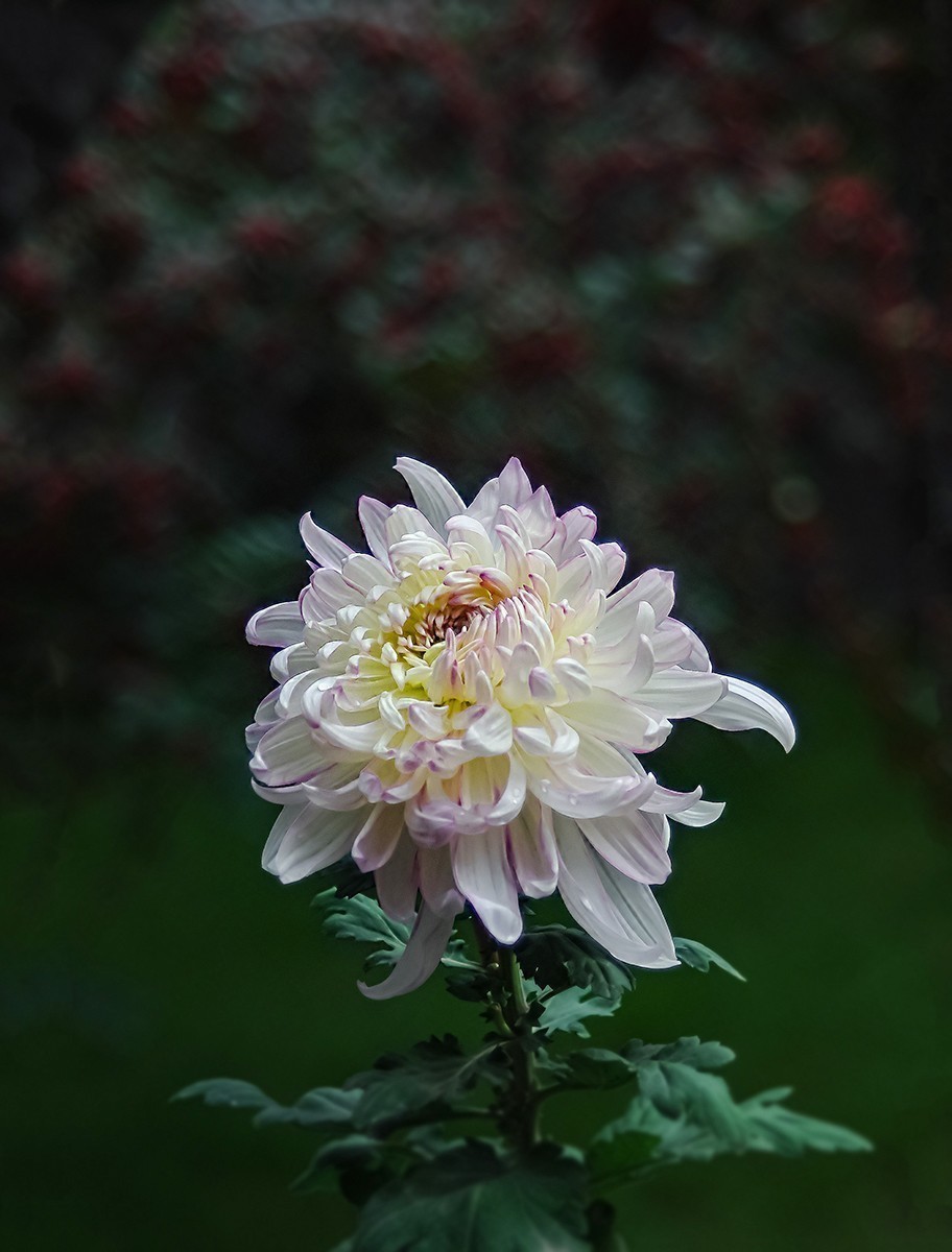 喜欢就好，手动头，乐在其中。。。