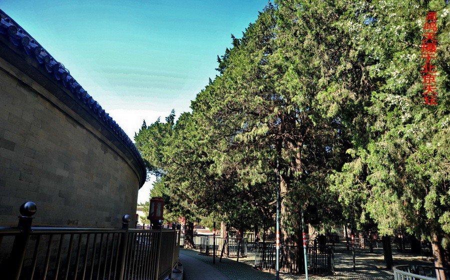 21年北京天坛      周鸣天