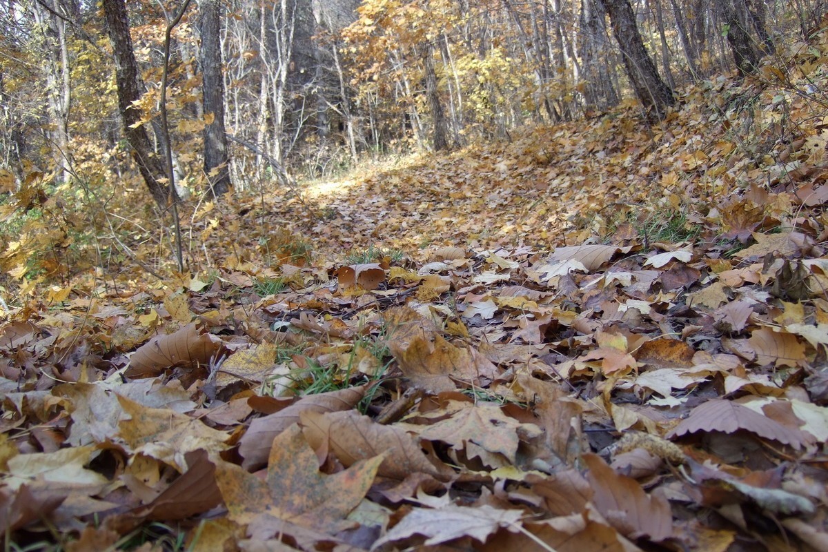 没事发几张照片