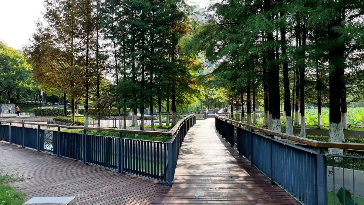 试机（小卡片机DC-LX100M2）武汉印象---琴台剧院和五环大道街景随拍！