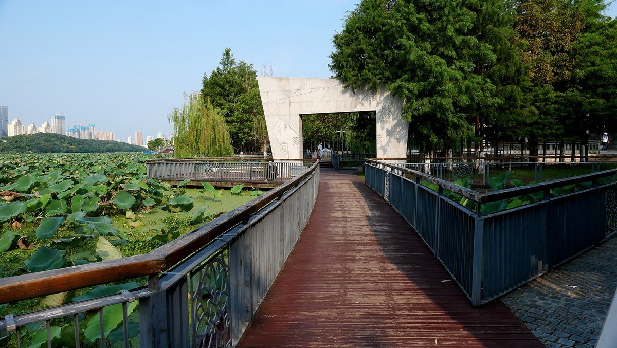 试机（小卡片机DC-LX100M2）武汉印象---琴台剧院和五环大道街景随拍！