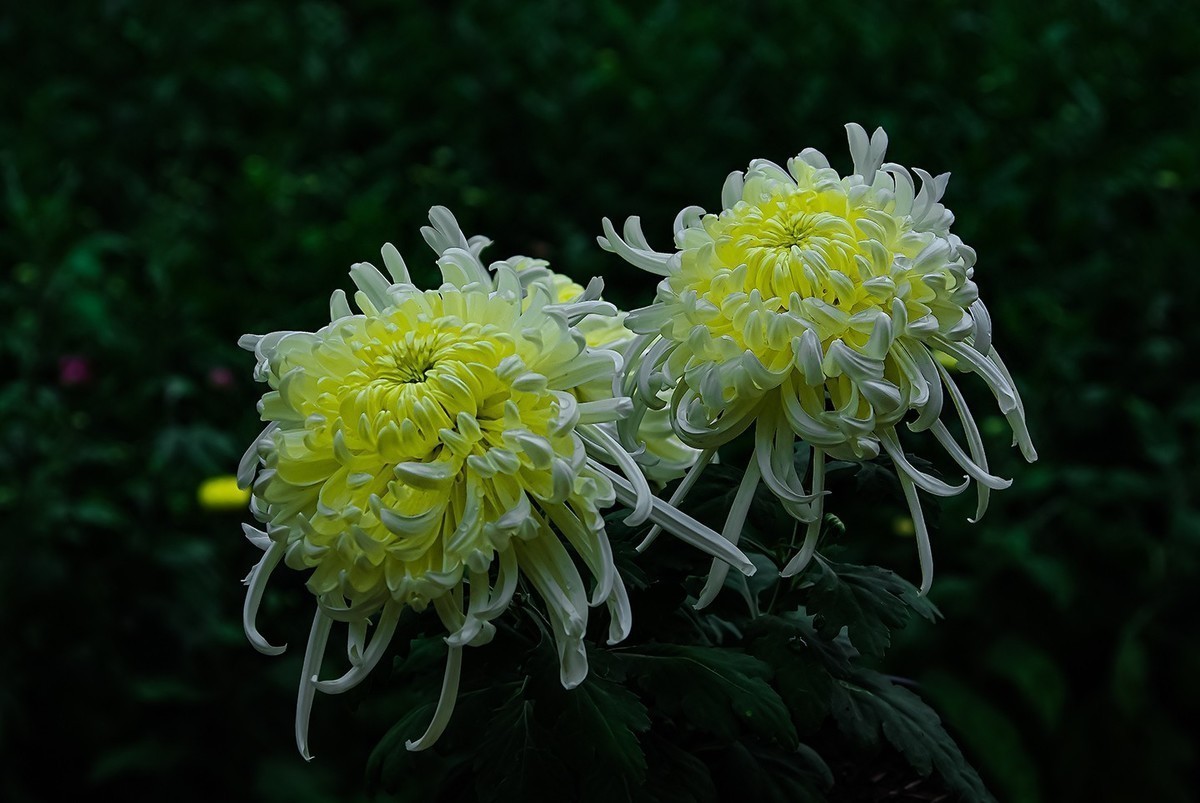 喜欢就好，手动头，乐在其中。。。