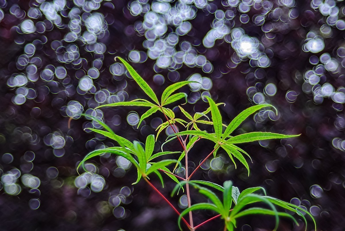 喜欢就好，手动头，乐在其中。。。