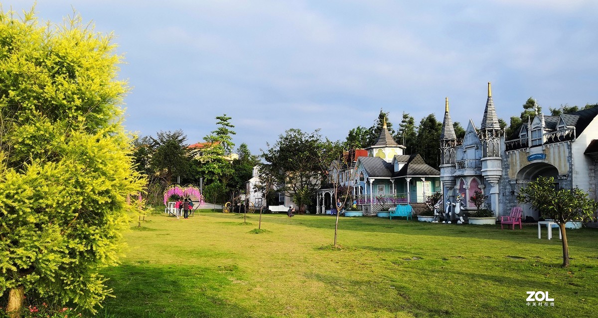 龙门温泉鲁冰花花海