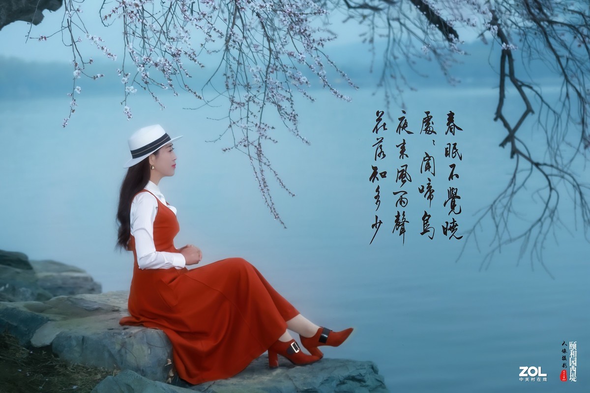 又见颐和园西堤山桃花盛放 春色撩人