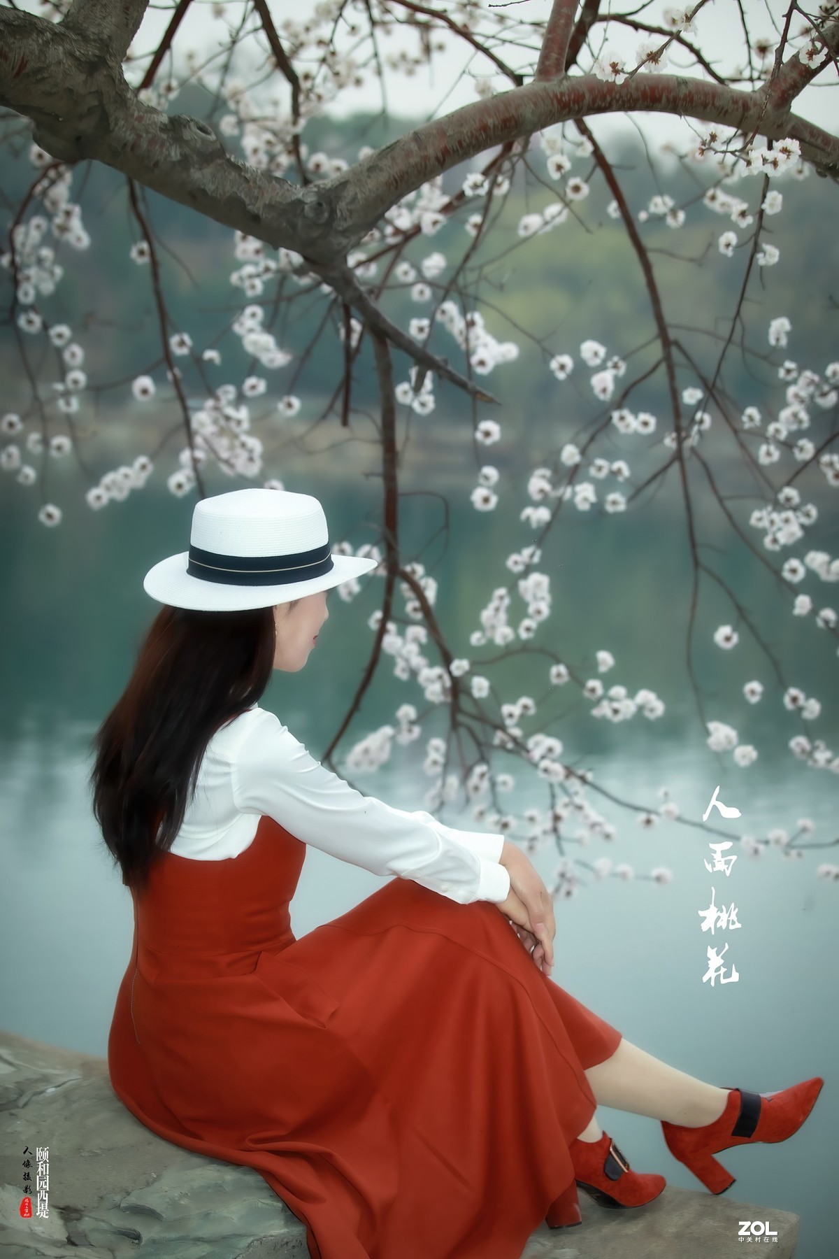 又见颐和园西堤山桃花盛放 春色撩人