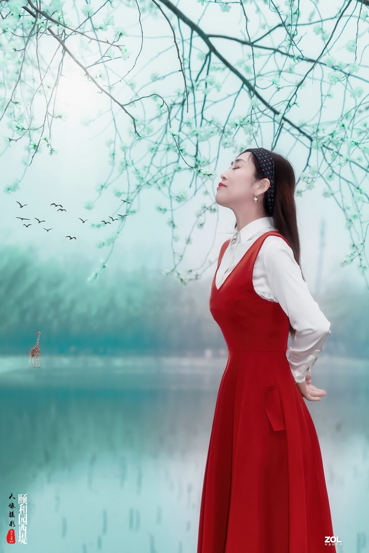 又见颐和园西堤山桃花盛放 春色撩人