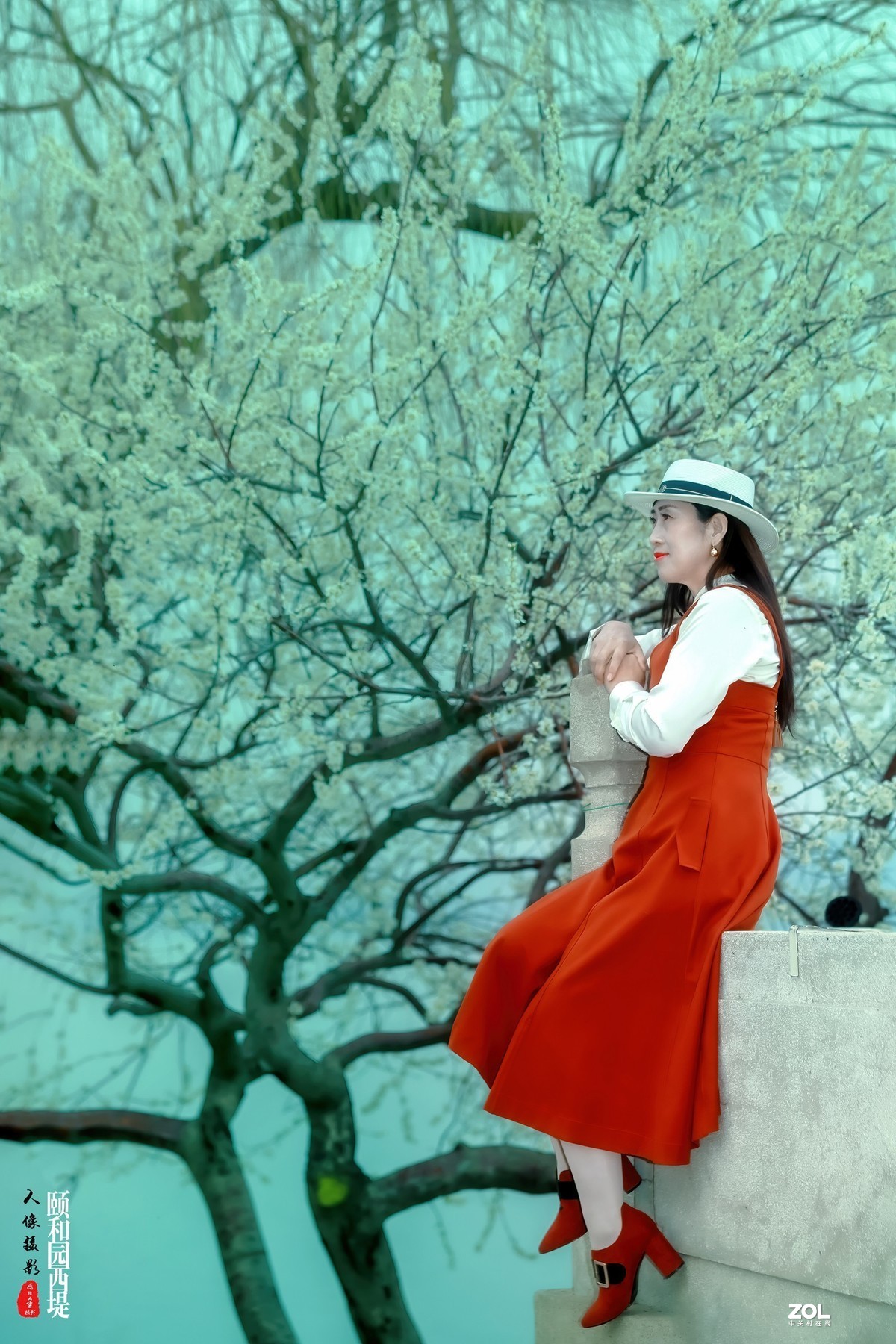 又见颐和园西堤山桃花盛放 春色撩人