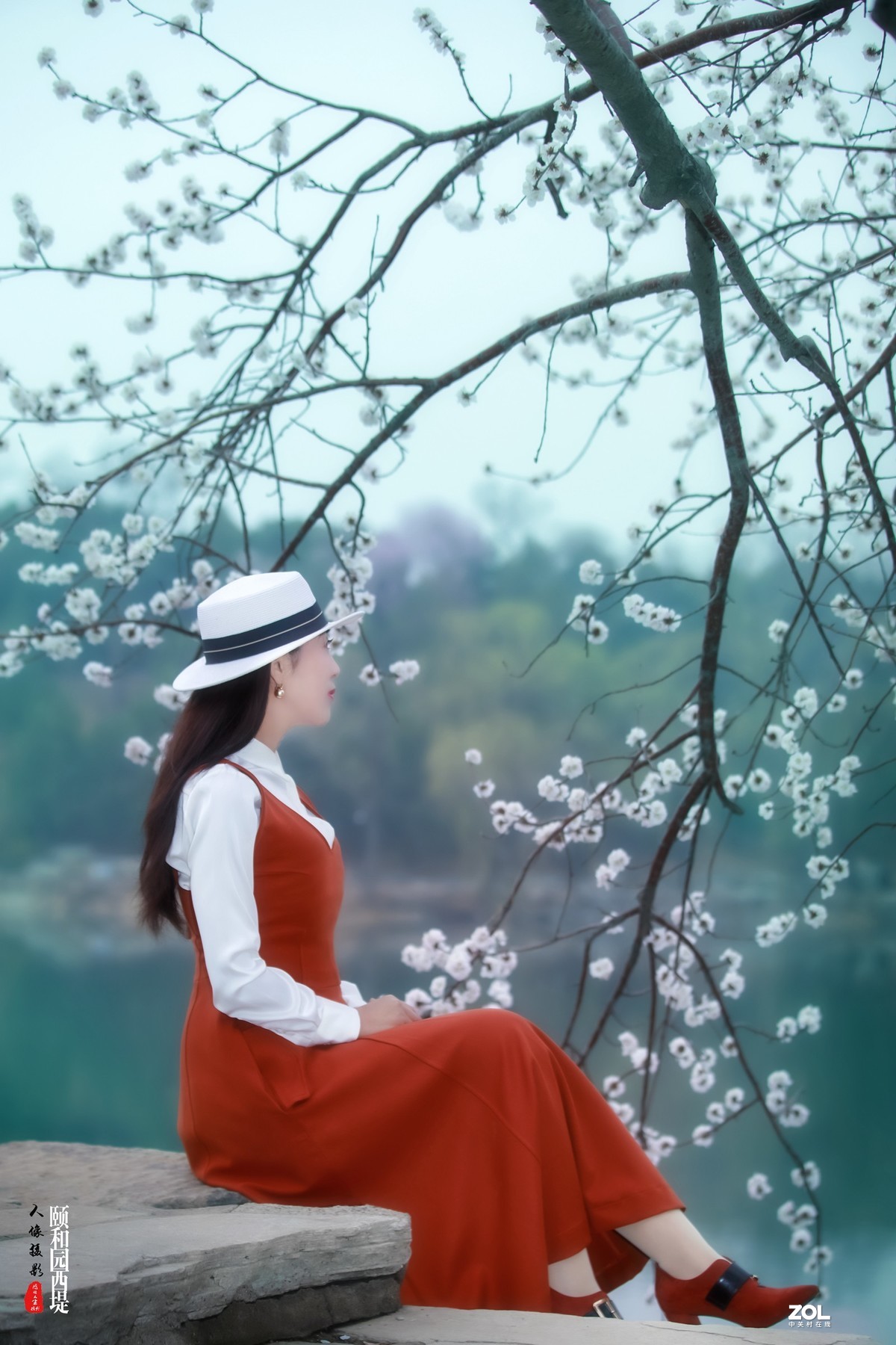 又见颐和园西堤山桃花盛放 春色撩人