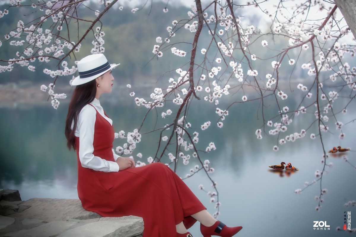 又见颐和园西堤山桃花盛放 春色撩人