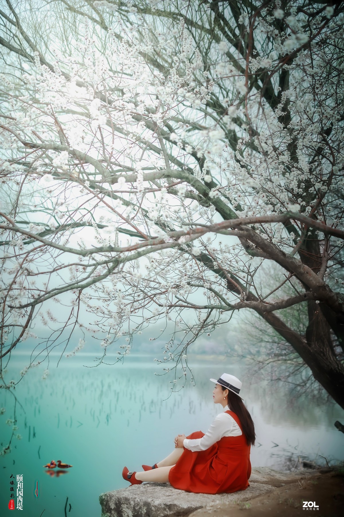 又见颐和园西堤山桃花盛放 春色撩人