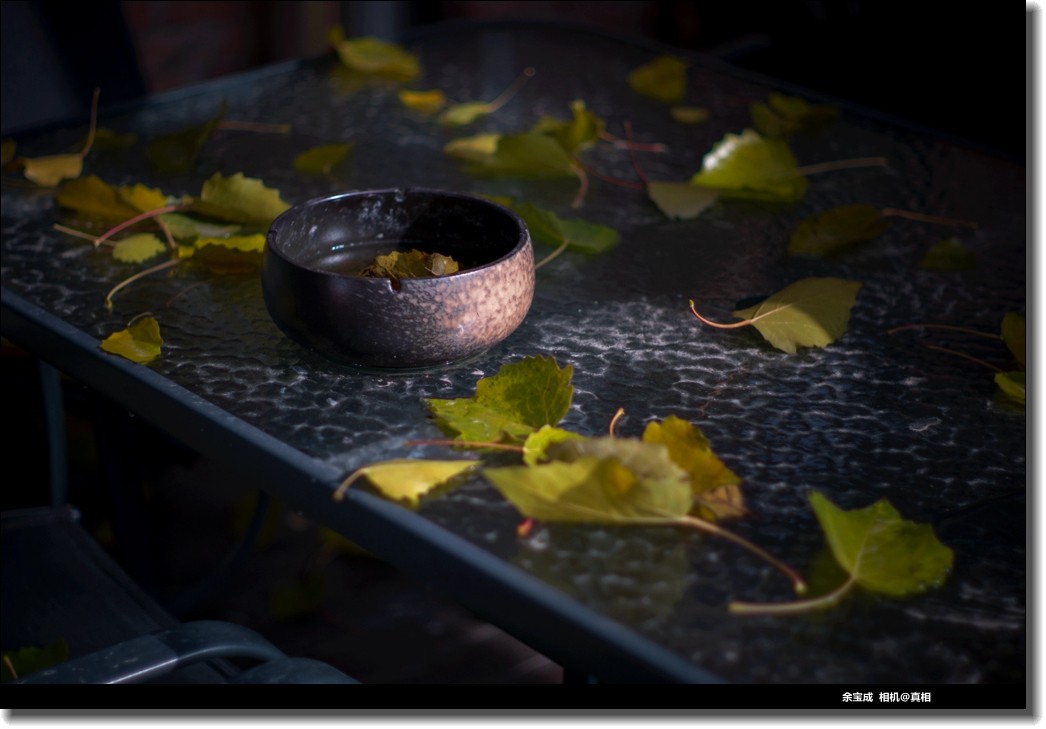 2020.11.20.【彩色的秋天】随拍