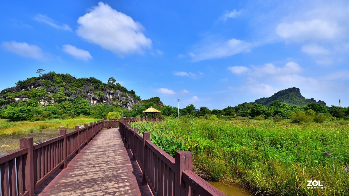 会仙河湿地公园3