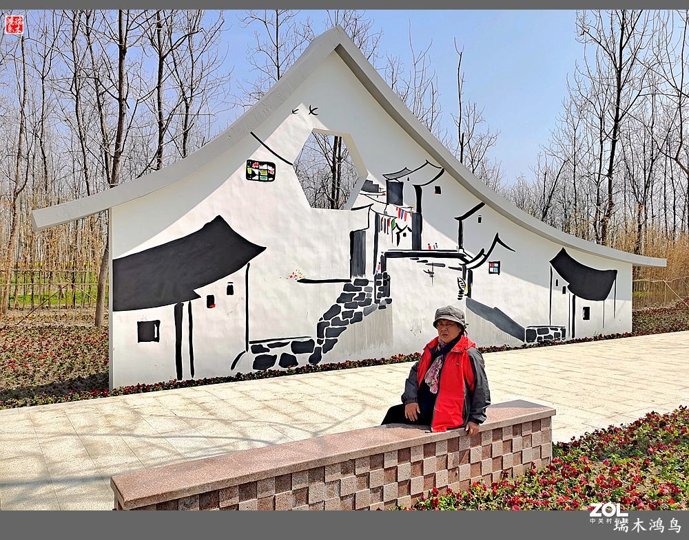 【游春记】5.梦回水乡  畅游千垛油菜花海