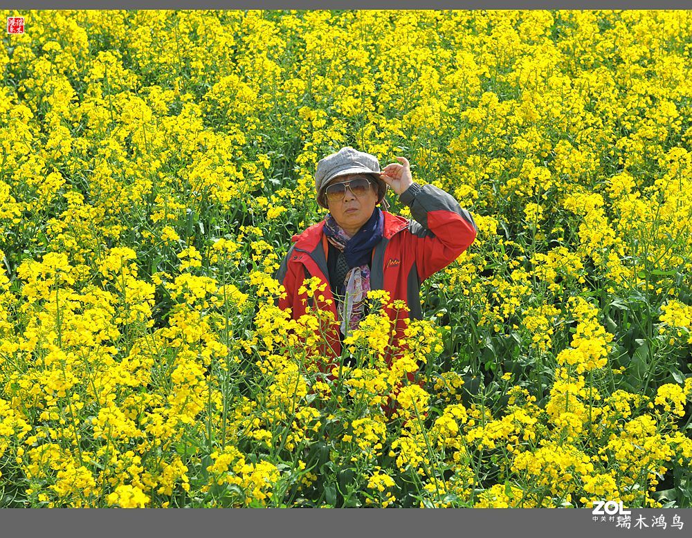 【游春记】5.梦回水乡  畅游千垛油菜花海