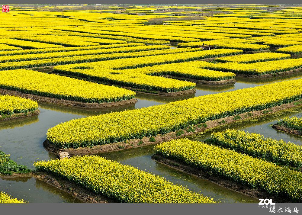 【游春记】5.梦回水乡  畅游千垛油菜花海