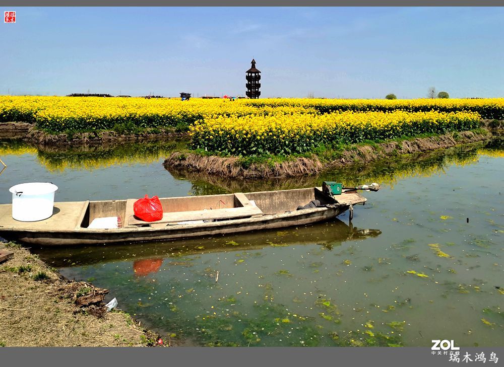 【游春记】5.梦回水乡  畅游千垛油菜花海