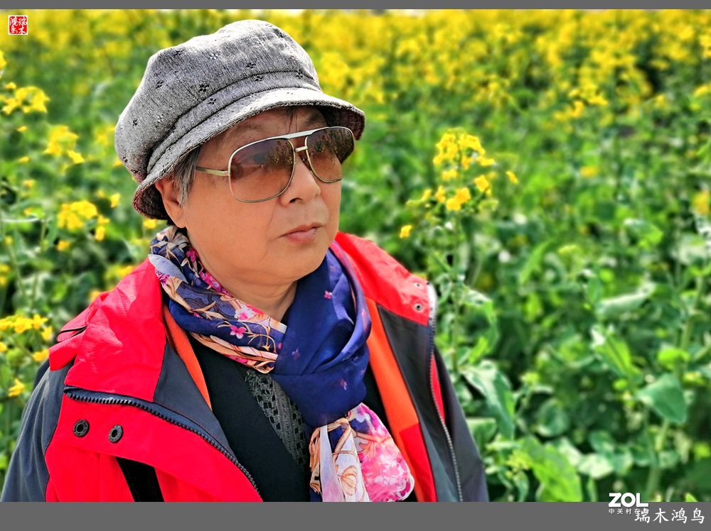 【游春记】5.梦回水乡  畅游千垛油菜花海