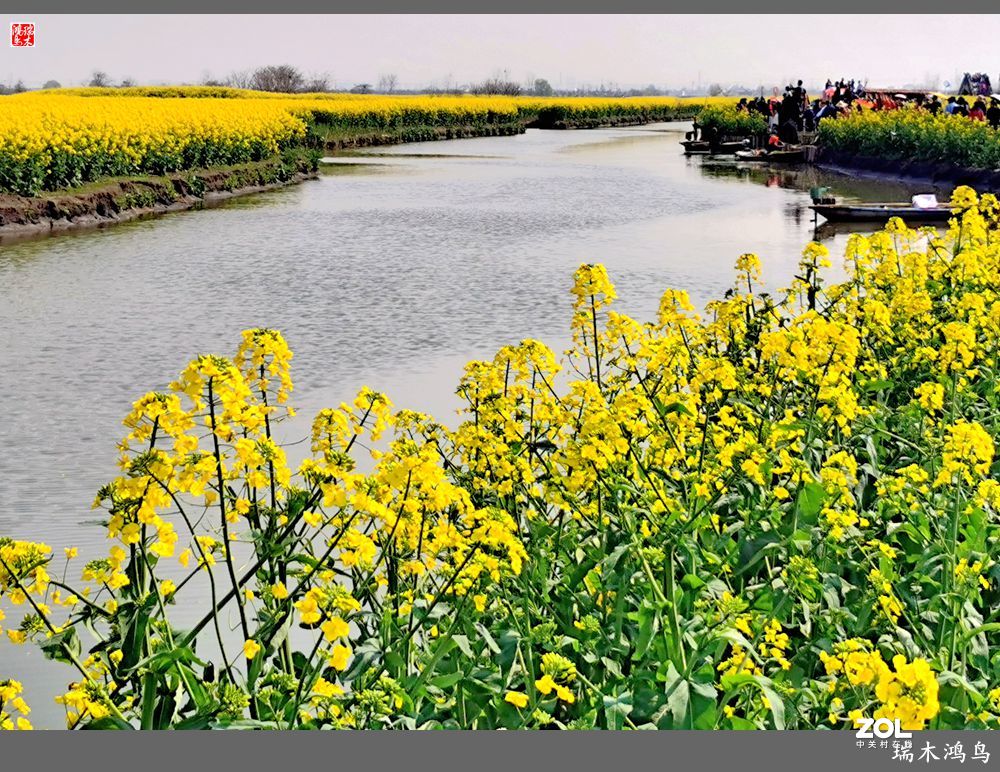 【游春记】5.梦回水乡  畅游千垛油菜花海