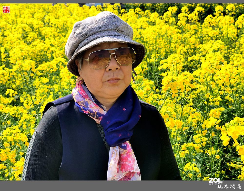 【游春记】5.梦回水乡  畅游千垛油菜花海