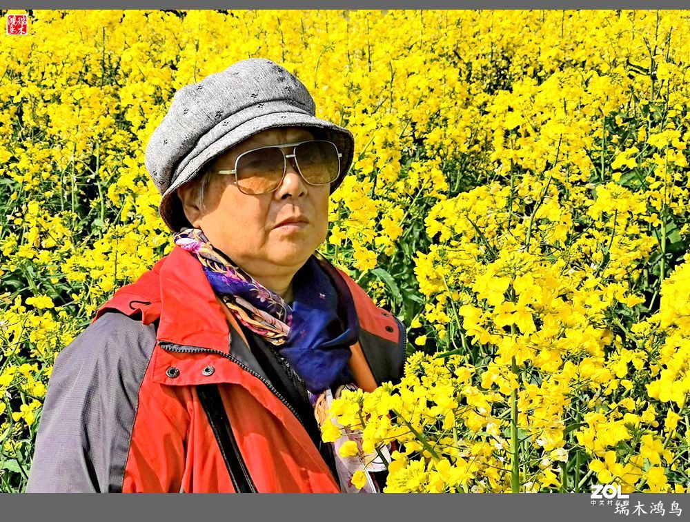 【游春记】5.梦回水乡  畅游千垛油菜花海