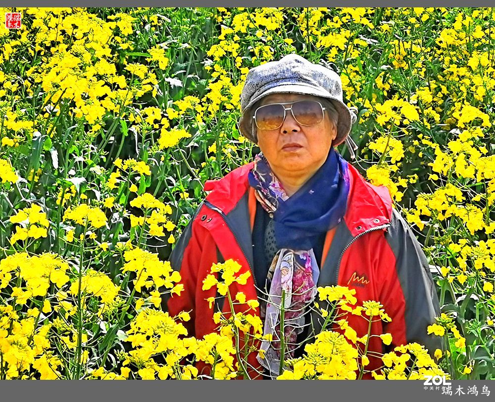 【游春记】5.梦回水乡  畅游千垛油菜花海