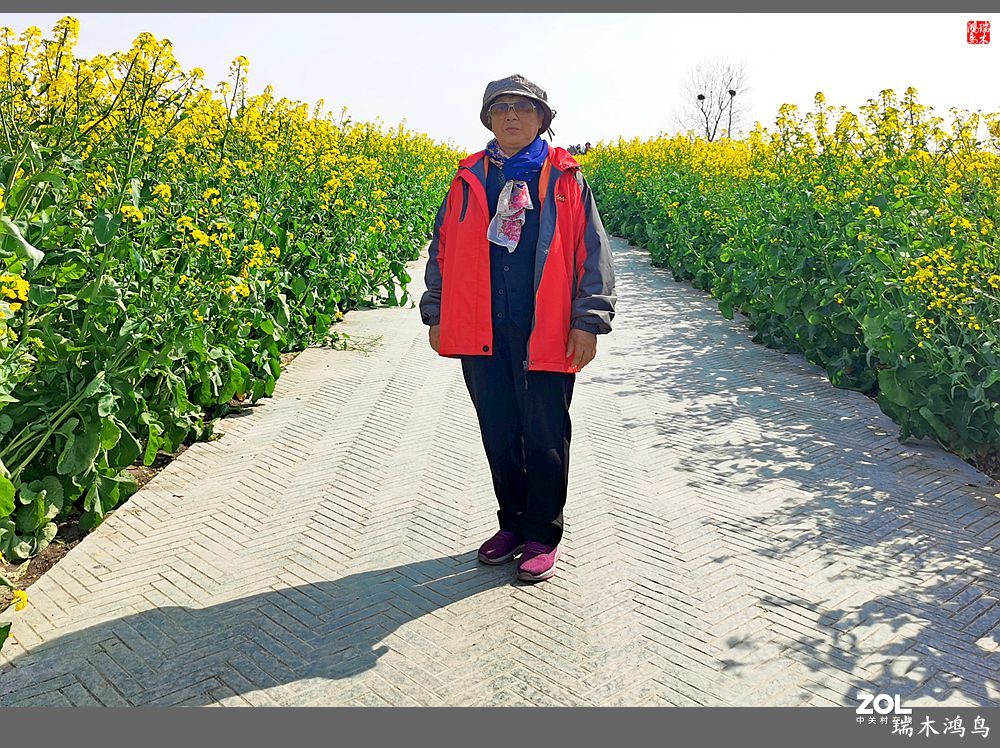 【游春记】5.梦回水乡  畅游千垛油菜花海